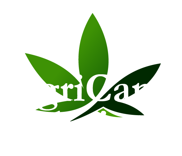 AGRICANN SOLUTIONS APPOINTS CFO & DIRECTOR